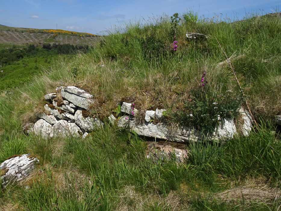 Image of Borgue Langwell (Broch) by LesHamilton