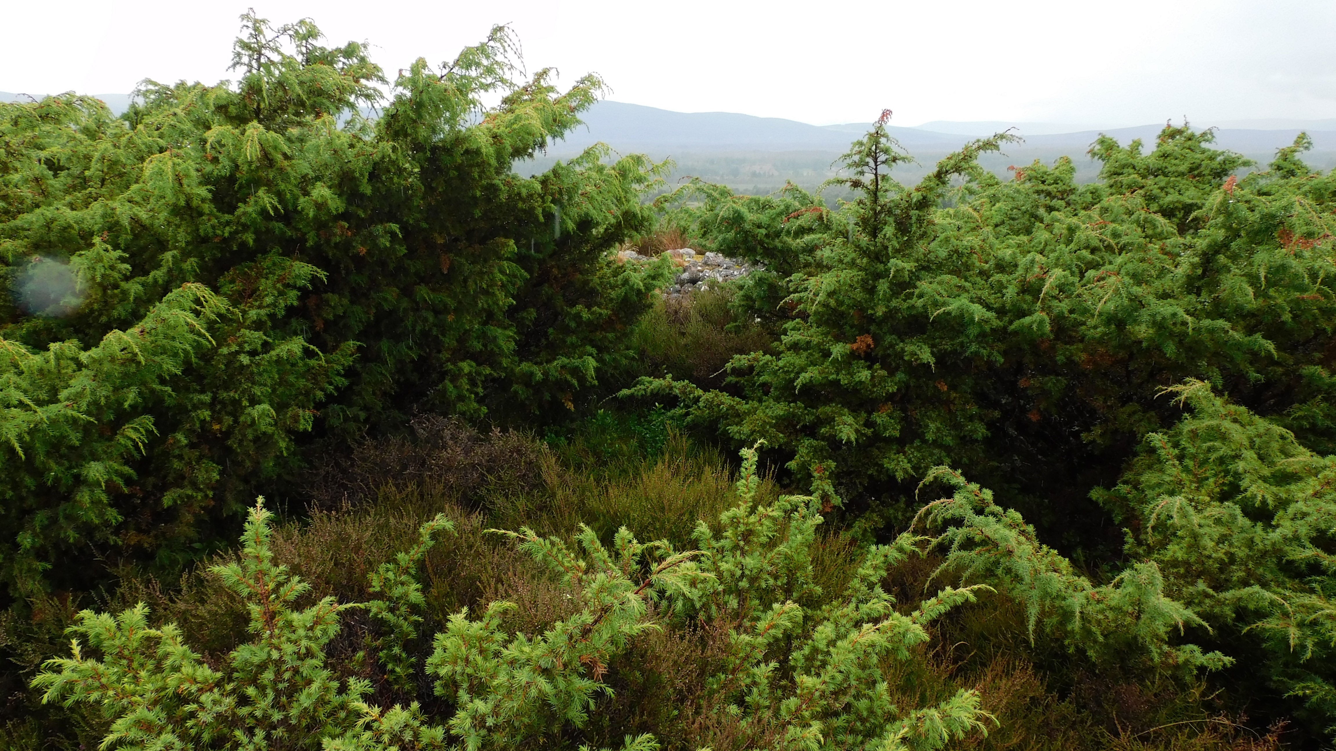 Image of Delbog (Cairn(s)) by drewbhoy