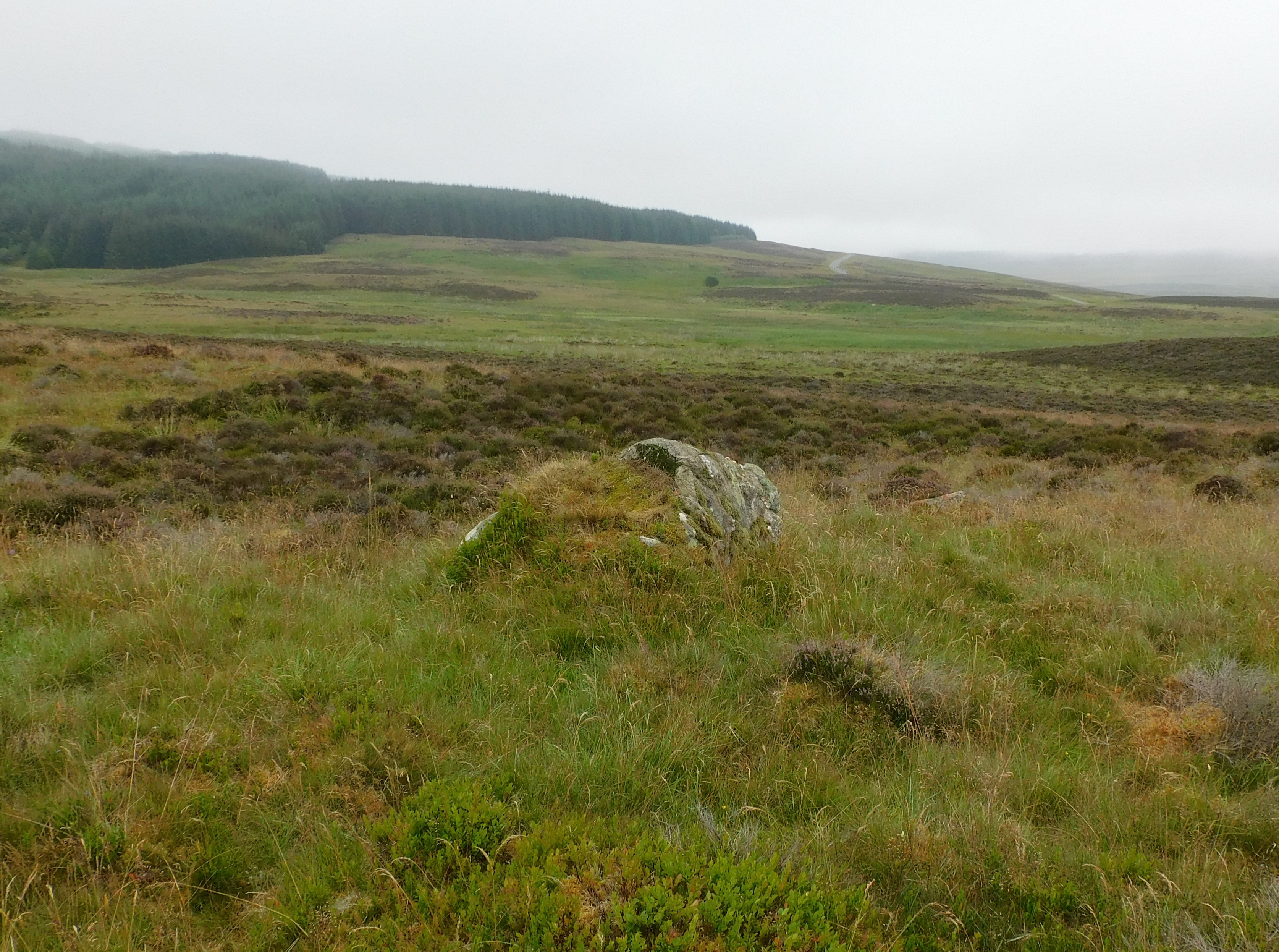 Image of Balnakeilly (Stone Circle) by drewbhoy