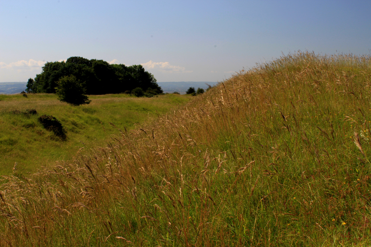 Image of Kemerton Camp (Hillfort) by GLADMAN
