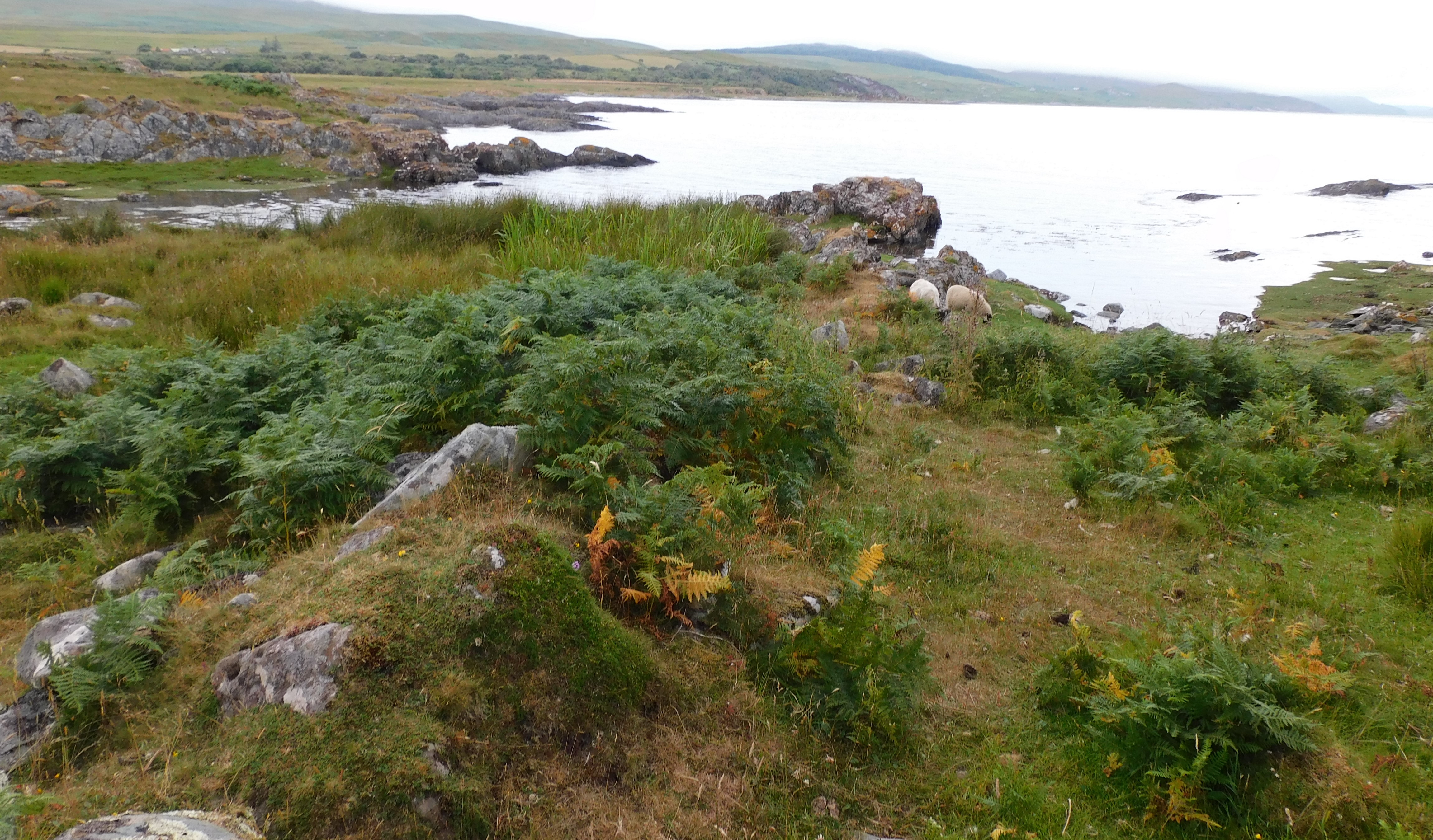 Image of Ardmenish (Promontory Fort) by drewbhoy