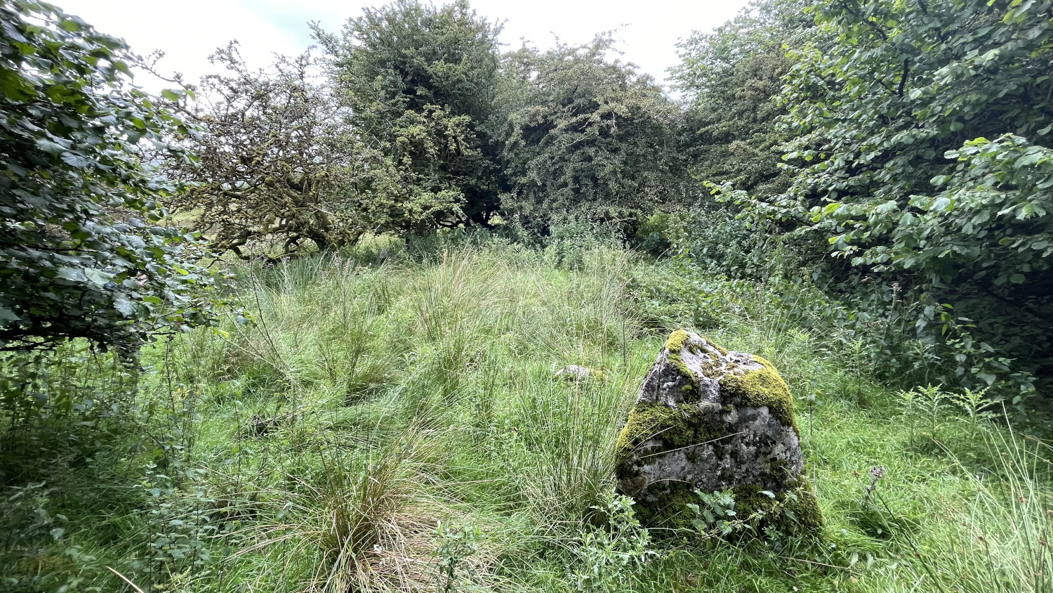 Image of Barracashlaun (Court Tomb) by ryaner