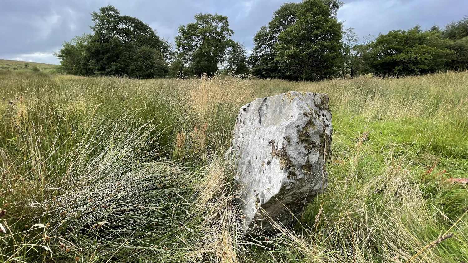Image of Garvagh (Standing Stone / Menhir) by ryaner