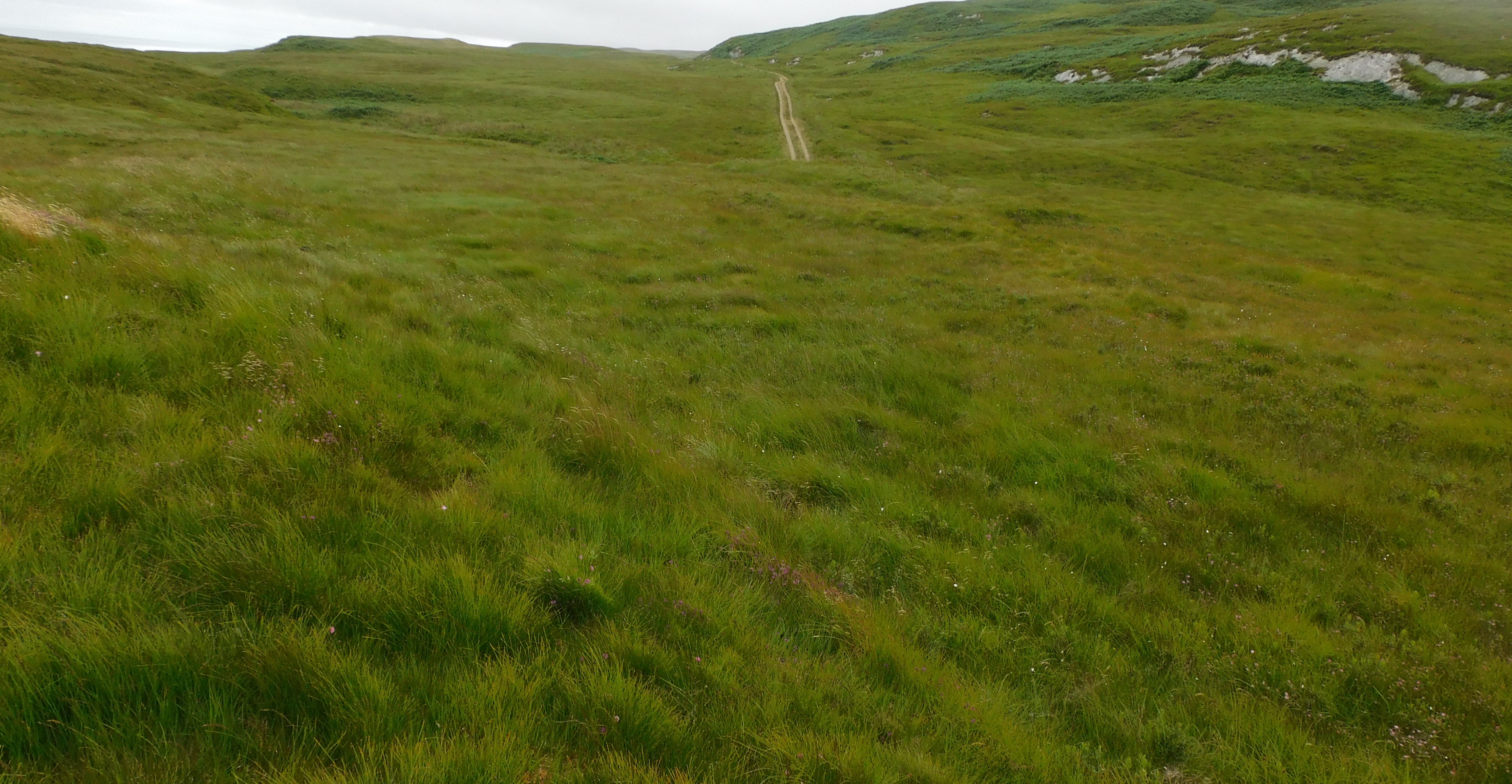Image of Cnoc Nan Darag (Chambered Cairn) by drewbhoy