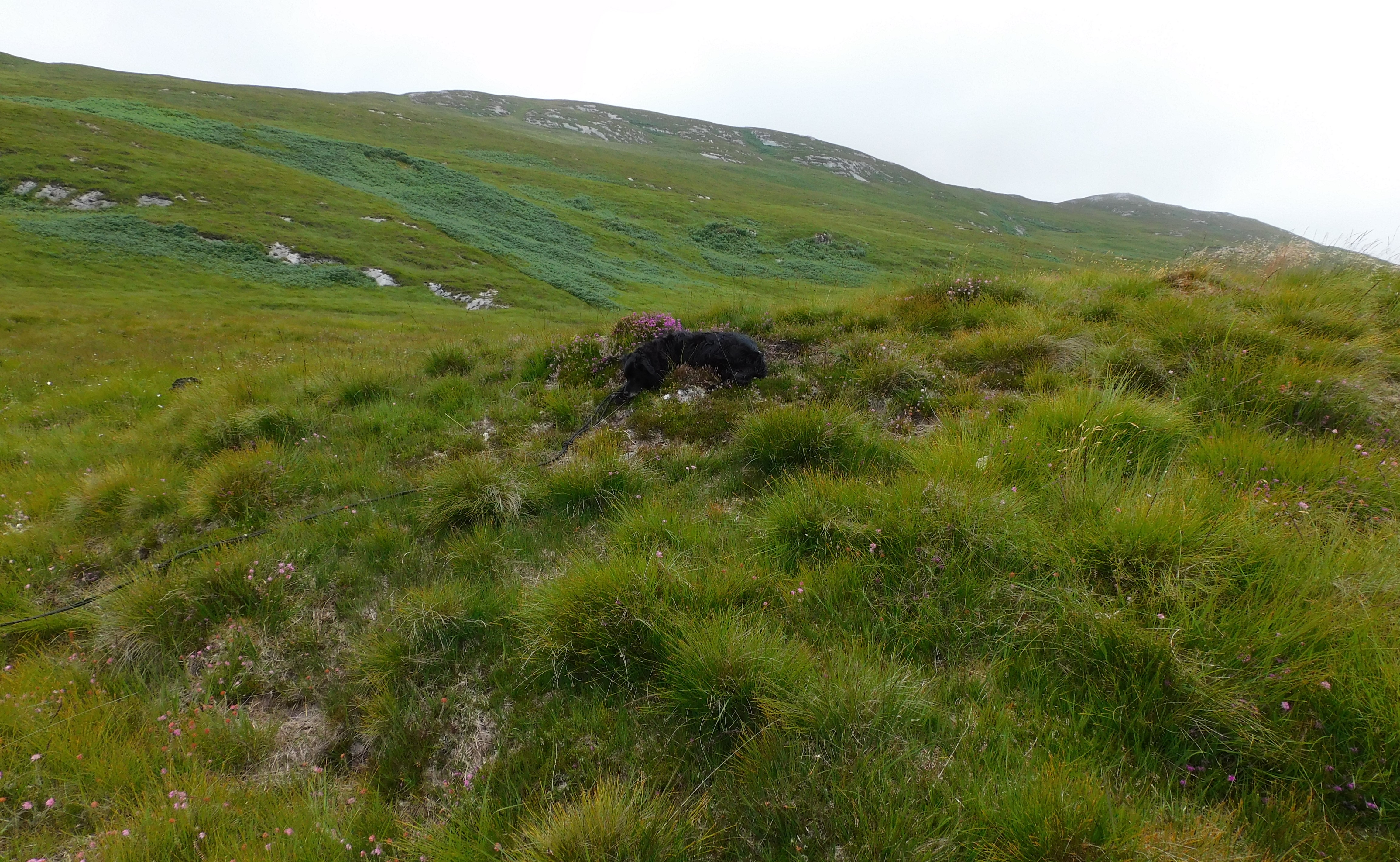 Image of Cnoc Nan Darag (Chambered Cairn) by drewbhoy