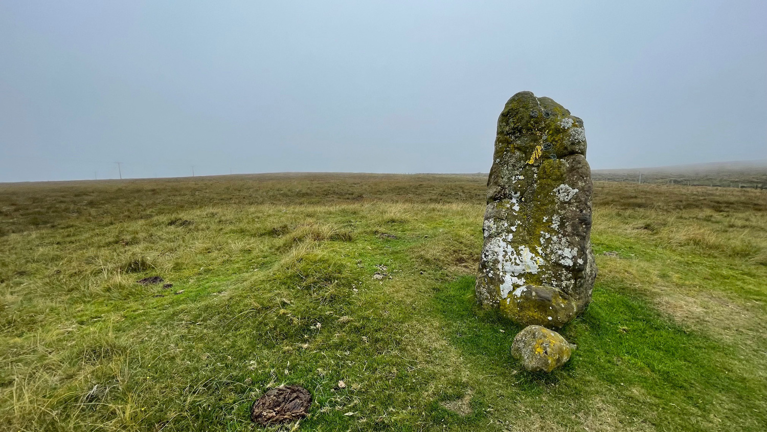Image of Killyglen (Standing Stone / Menhir) by ryaner