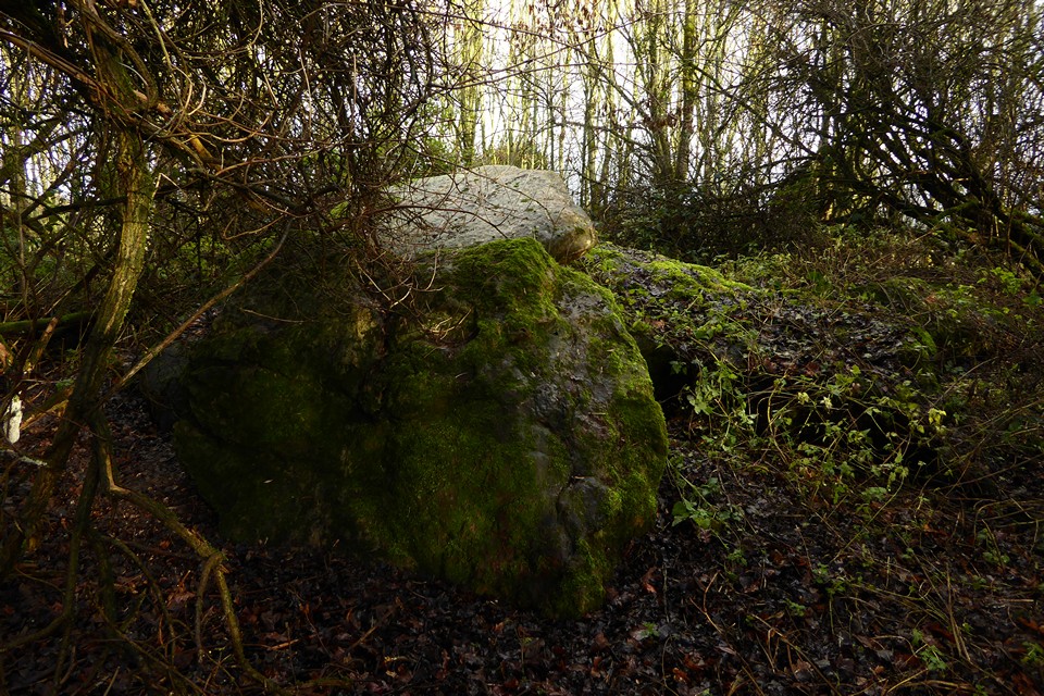 Image of Manton Down (Long Barrow) by thesweetcheat