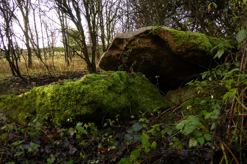 Image of Manton Down (Long Barrow) by thesweetcheat