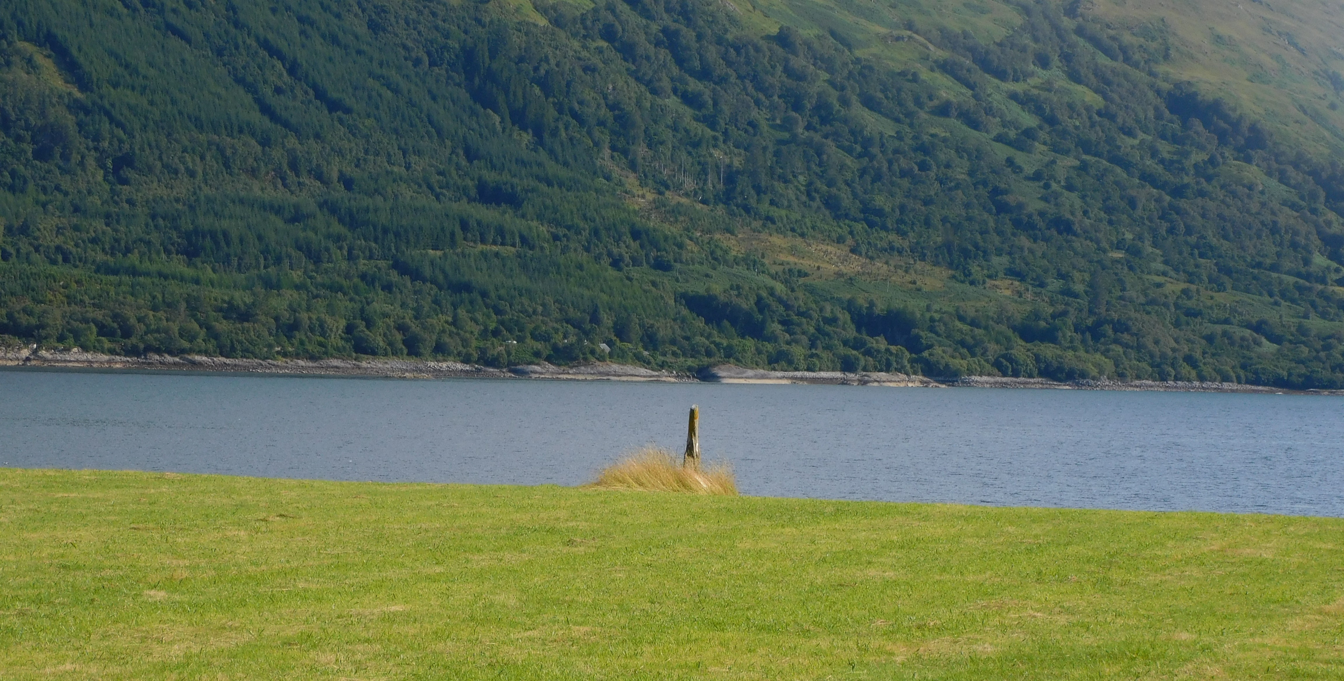 Image of Clach-a-Charra (Standing Stone / Menhir) by drewbhoy