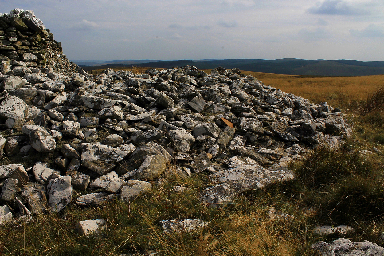 Image of Bryn Rhudd (Barrow / Cairn Cemetery) by GLADMAN