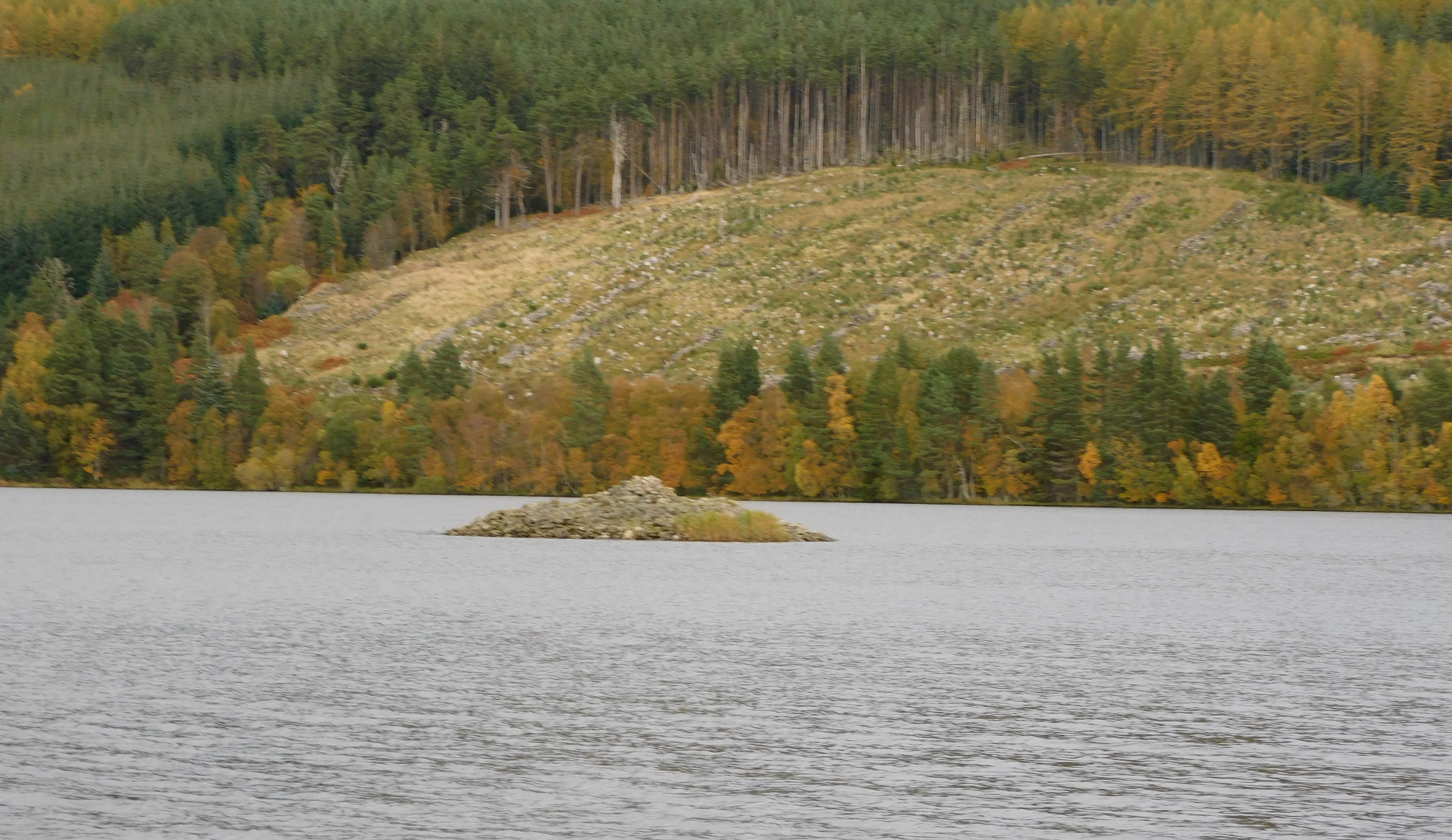 Image of Eilean Nan Clach (Crannog) by drewbhoy