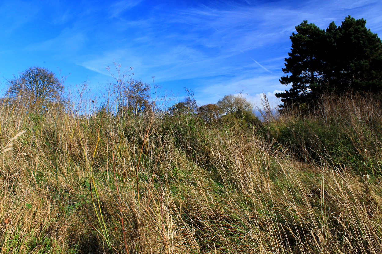 Image of Danish Camp, Shoeburyness (Hillfort) by GLADMAN