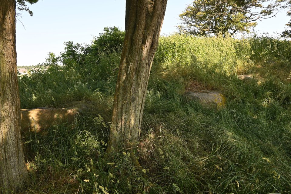 Image of Gramtitz 1 (Dolmen / Quoit / Cromlech) by Nucleus