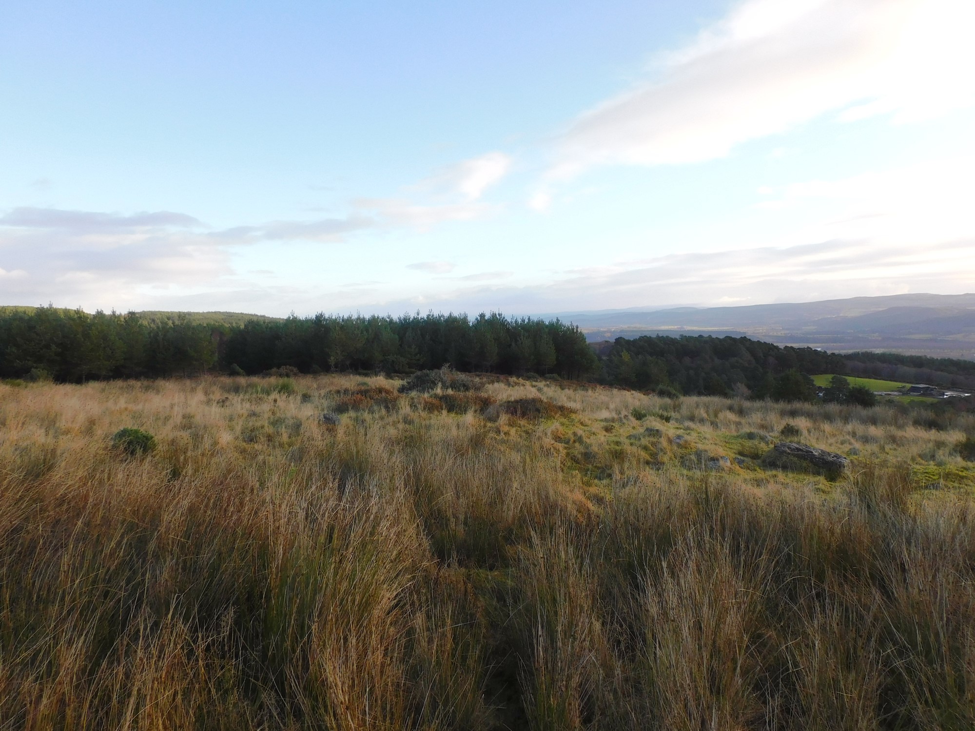 Image of Cnoc A Moine (nr Beauly) (Kerbed Cairn) by drewbhoy