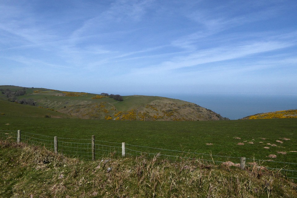 Image of Furzebury Brake (Hillfort) by thesweetcheat