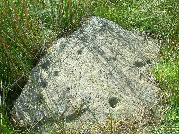 Image of Chisworth (Cup Marked Stone) by stubob