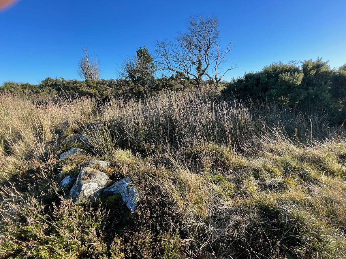 Image of Derrydrummond (Court Tomb) by ryaner