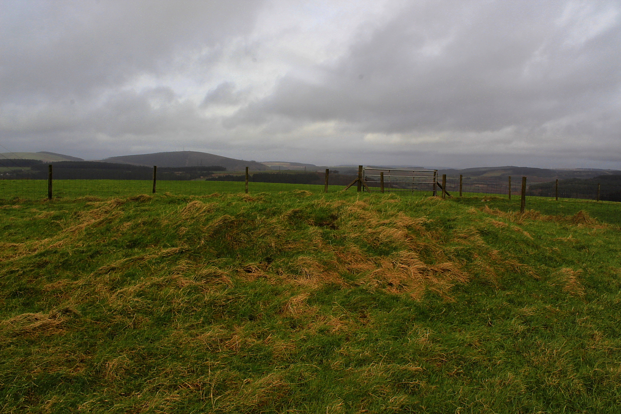 Image of Ergyd Isaf (Round Barrow(s)) by GLADMAN