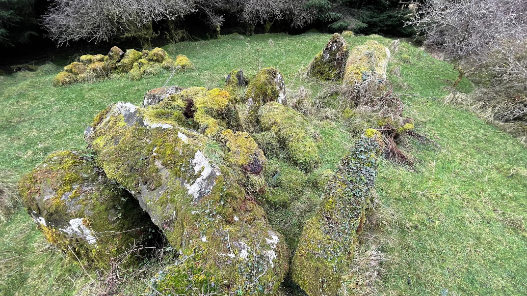 Image of Tawnydorragh (Court Tomb) by ryaner