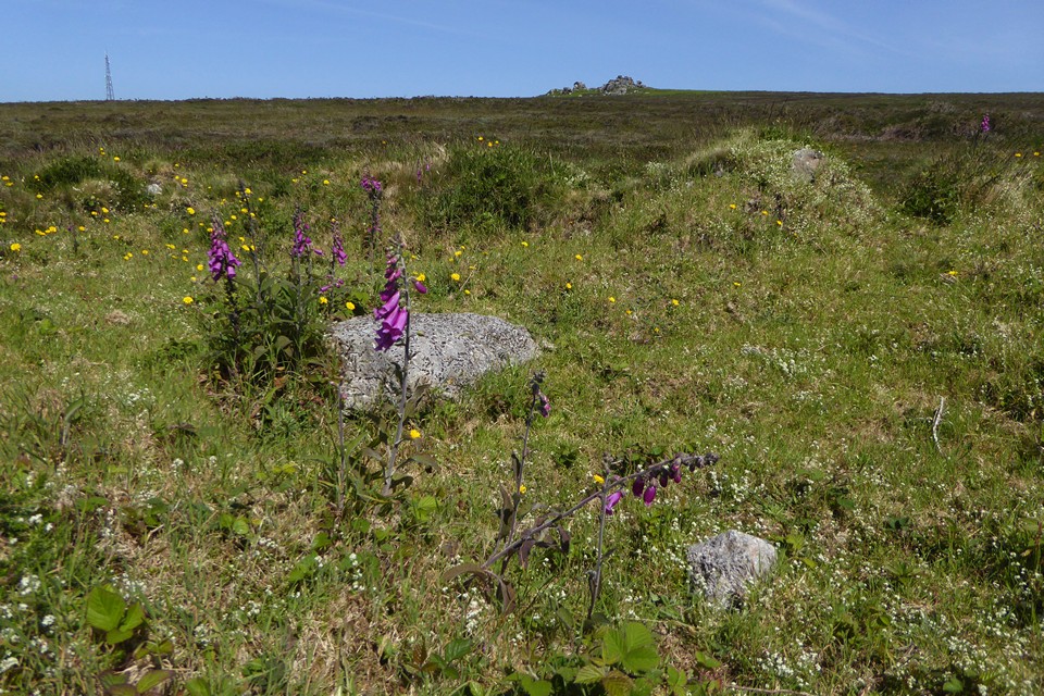 Image of Truthwall Common (Barrow / Cairn Cemetery) by thesweetcheat
