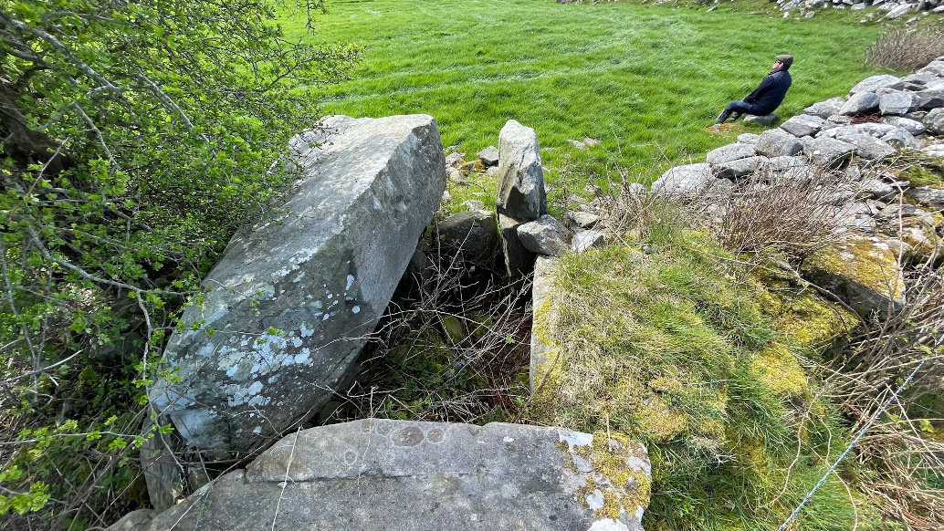 Image of Churchtown (Portal Tomb) by ryaner