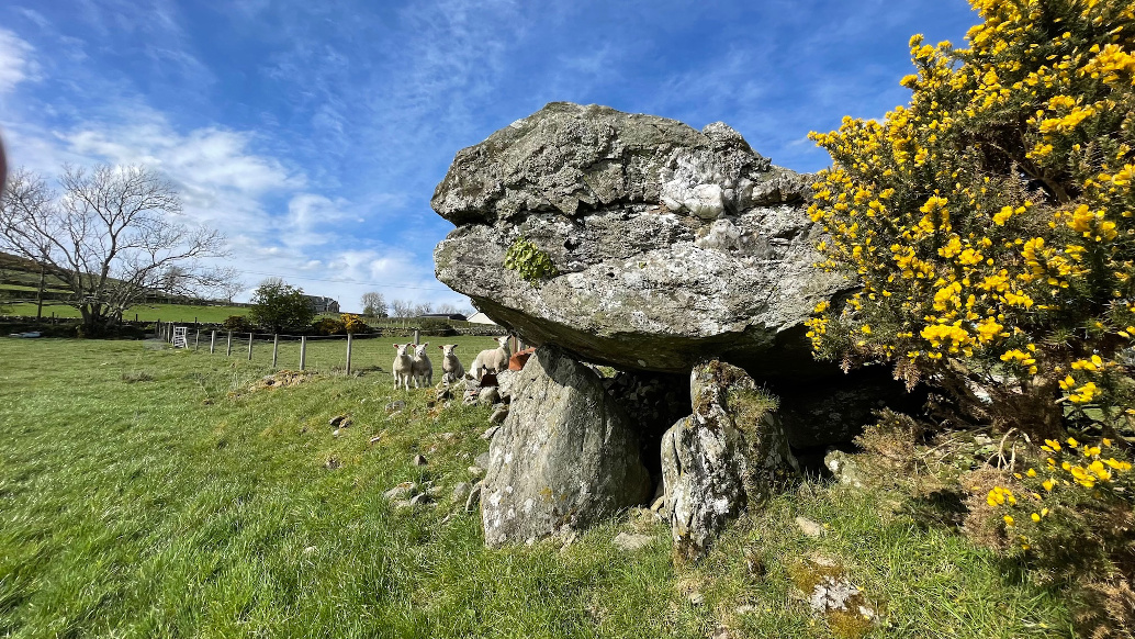 Image of Leitrim (Portal Tomb) by ryaner