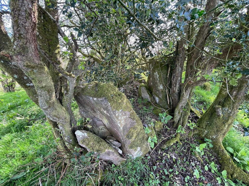 Image of Bullock Park (Portal Tomb) by ryaner