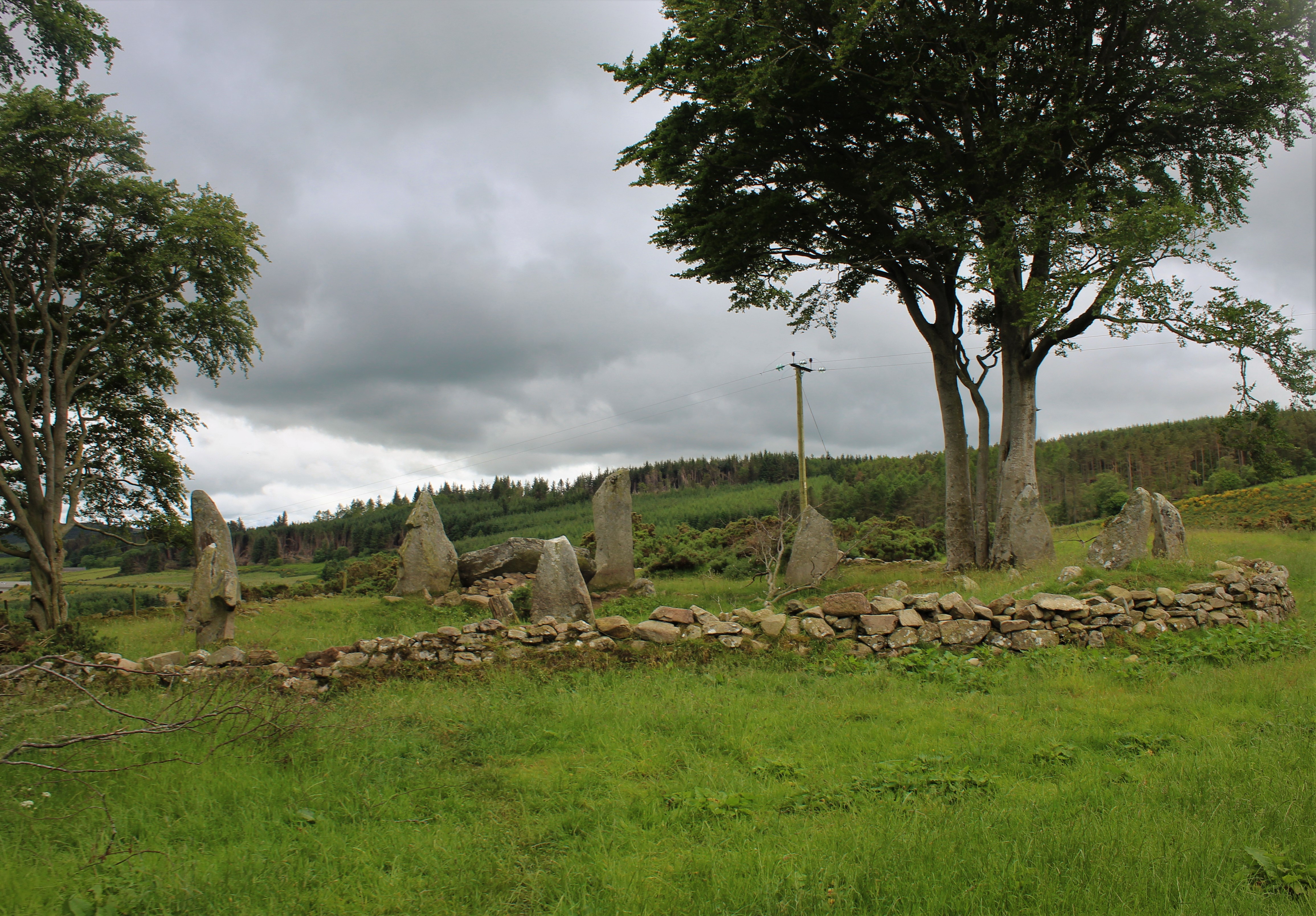 Image of Tyrebagger (Stone Circle) by postman
