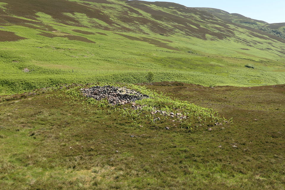 Image of Caen Burn, Strath of Kildonan (Long Cairn) by thelonious