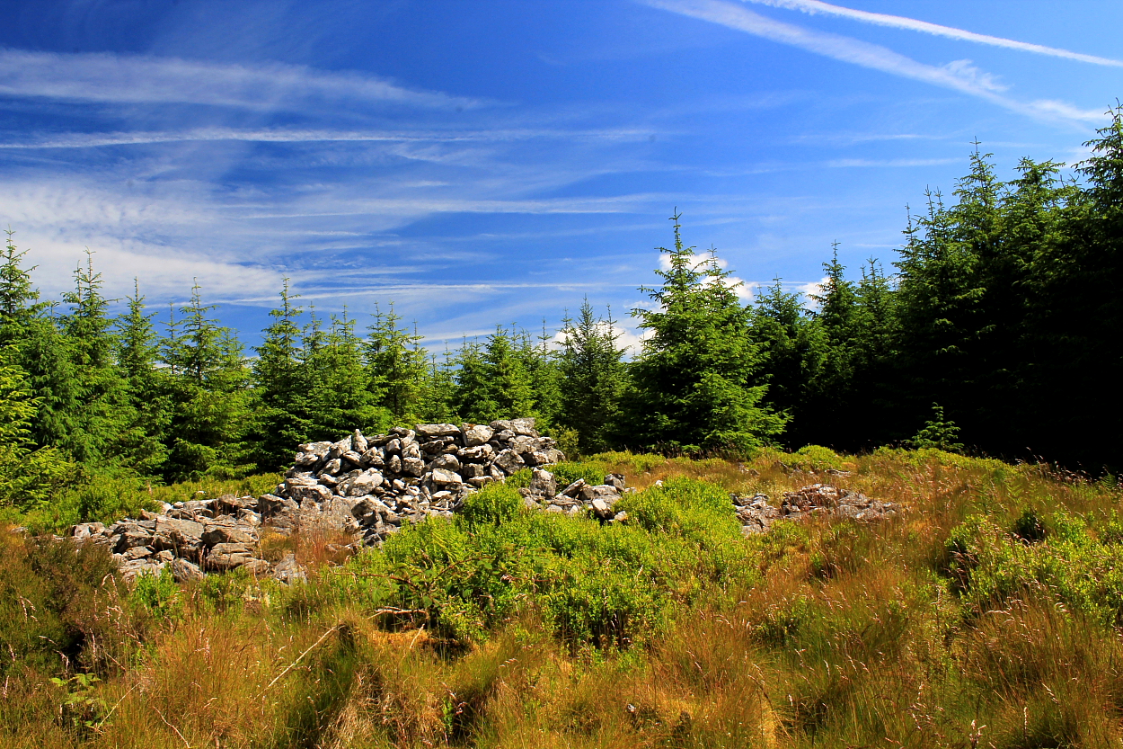 Image of Garn, Banciau Duon (Round Cairn) by GLADMAN