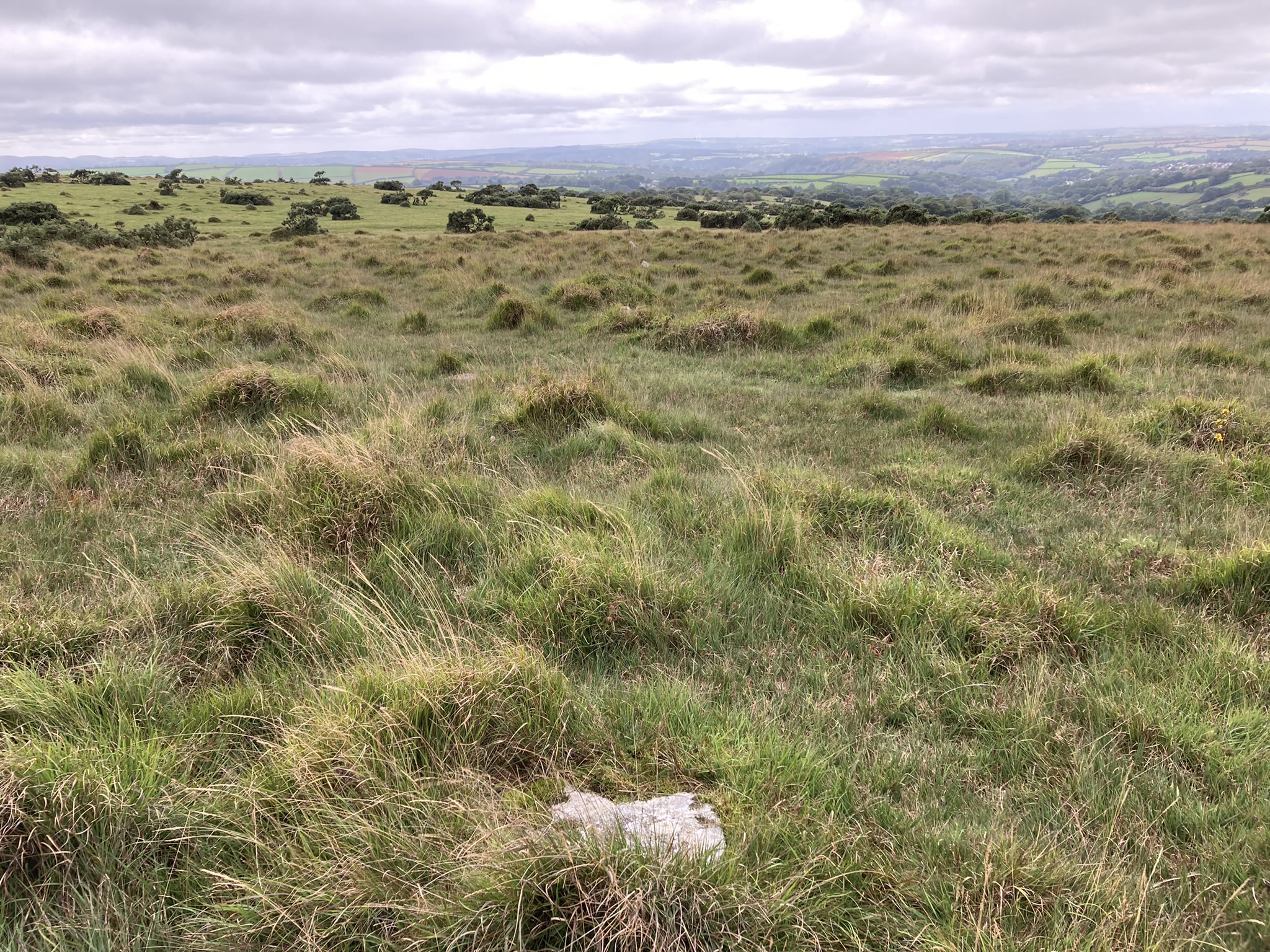 Image of Trehudreth Downs Stone Row by markj99