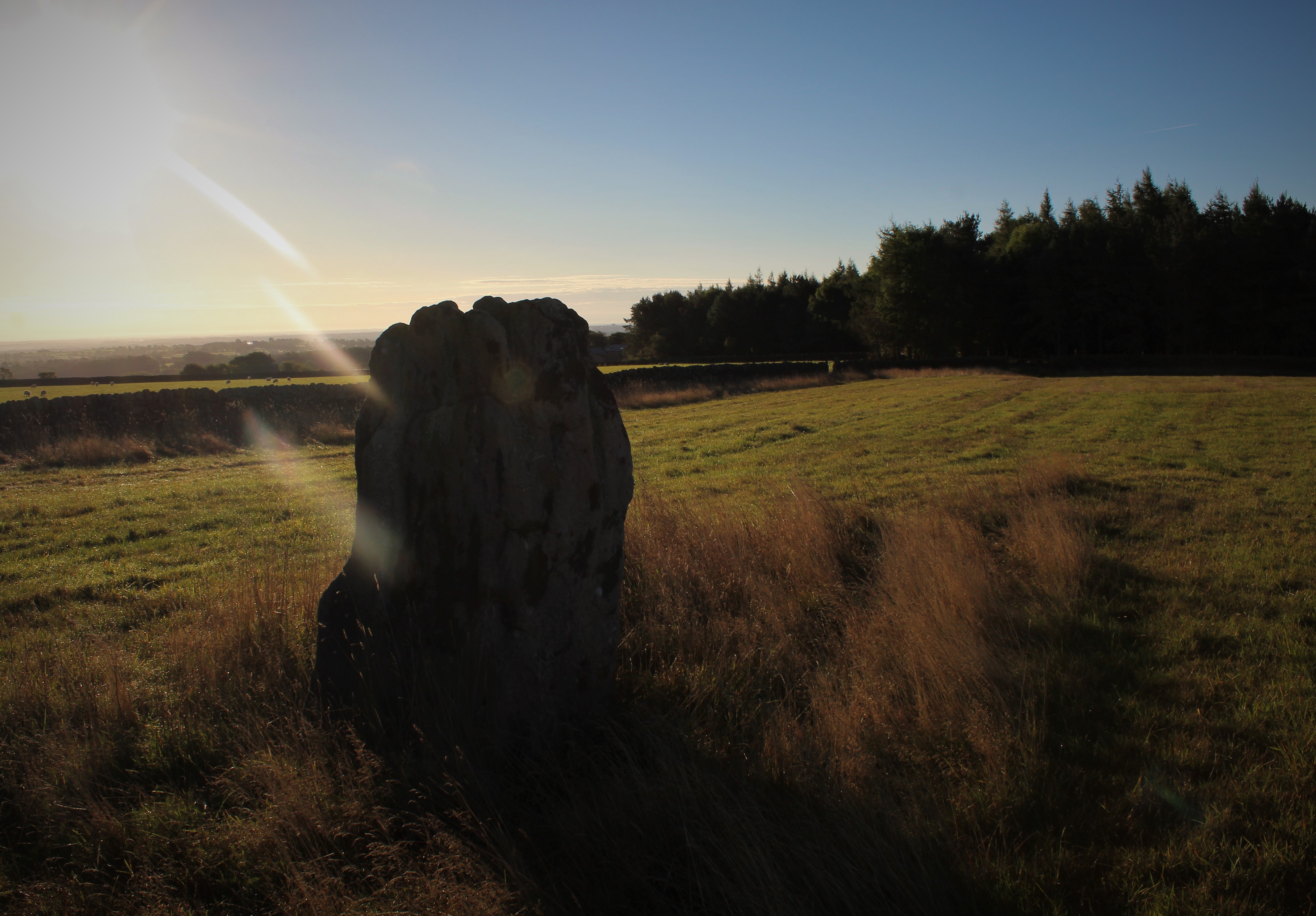 Image of Hartwith Moor (Standing Stone / Menhir) by postman