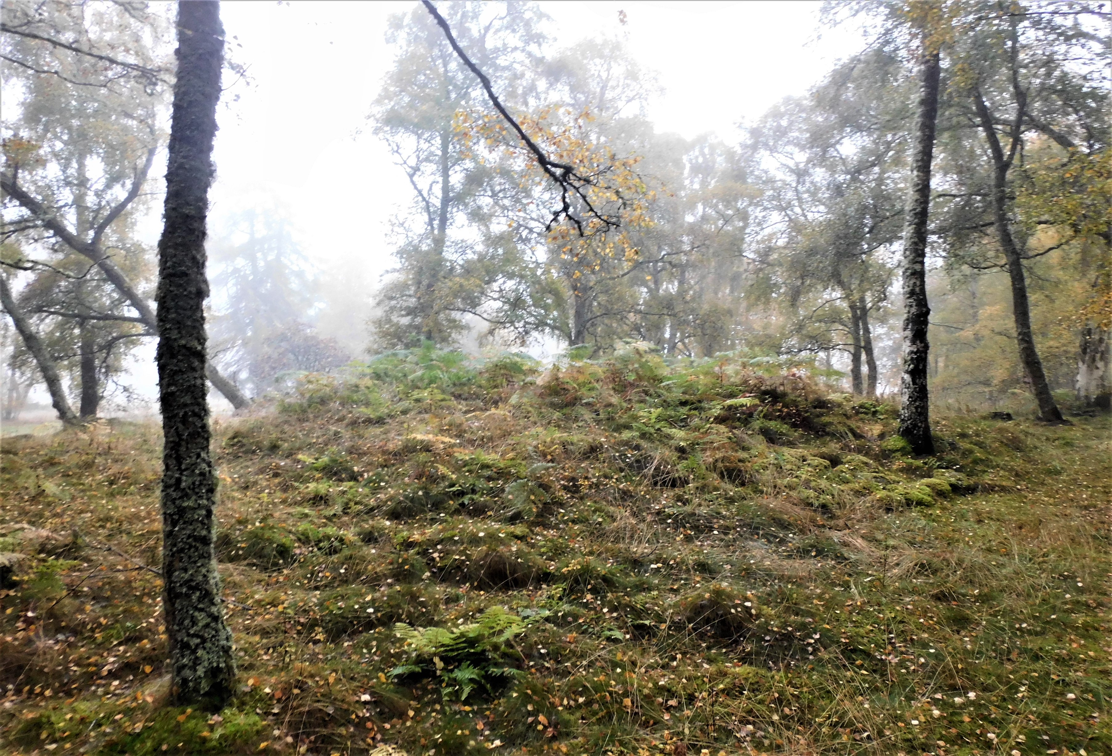 Image of Muir Of Conan (Cairn(s)) by drewbhoy