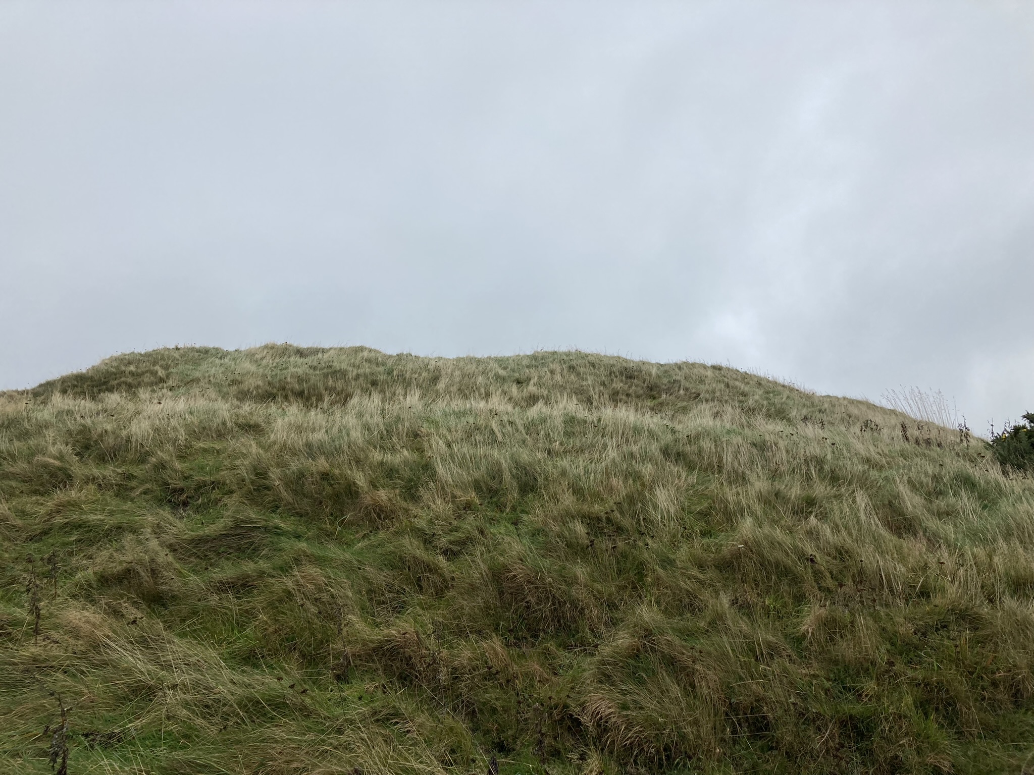 Image of Howmoor (Stone Fort / Dun) by markj99