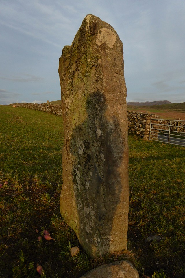 Image of Moel-y-Sensigl (Standing Stone / Menhir) by thesweetcheat