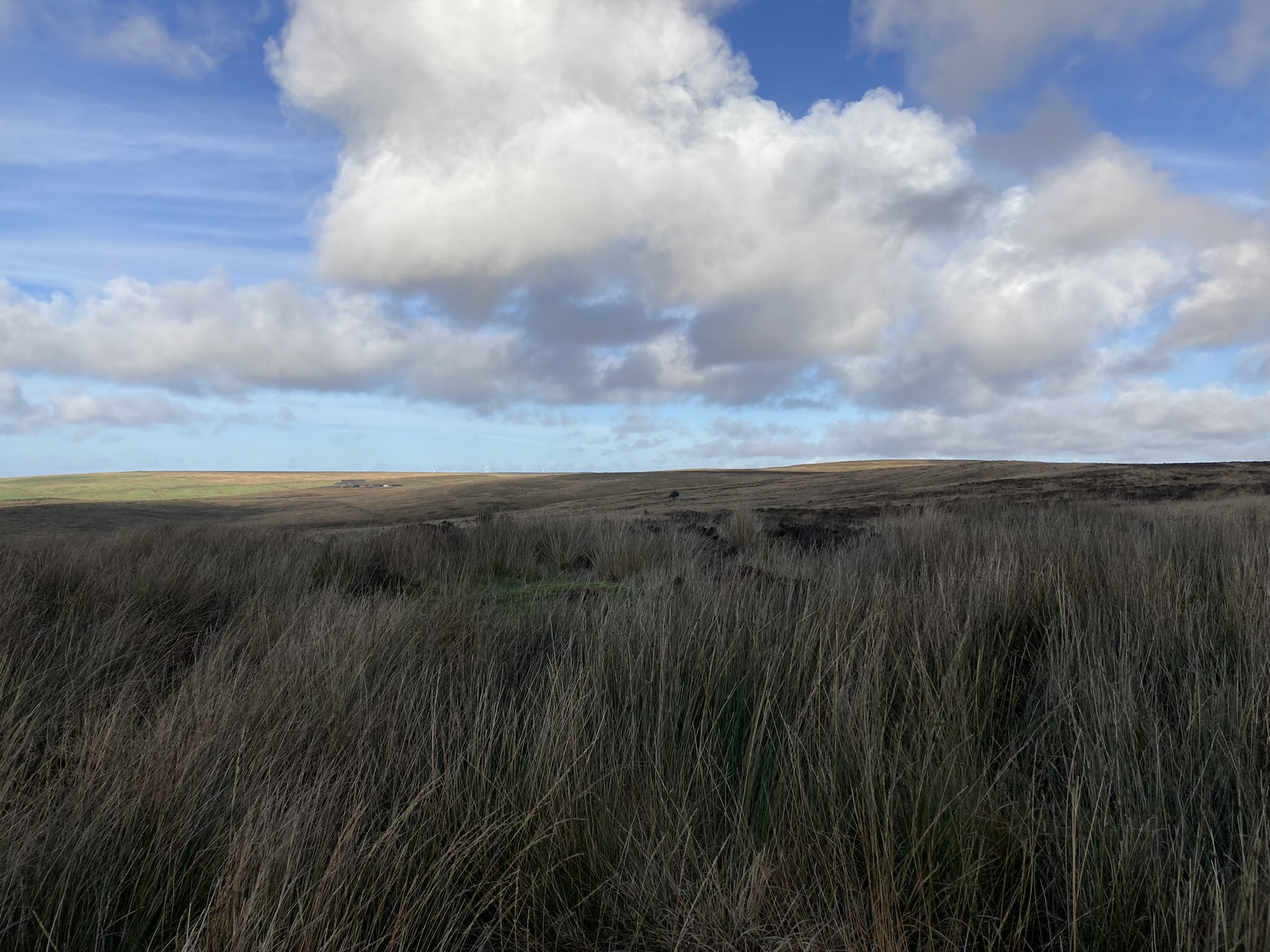 Image of Balker Moor S (Cairn(s)) by markj99