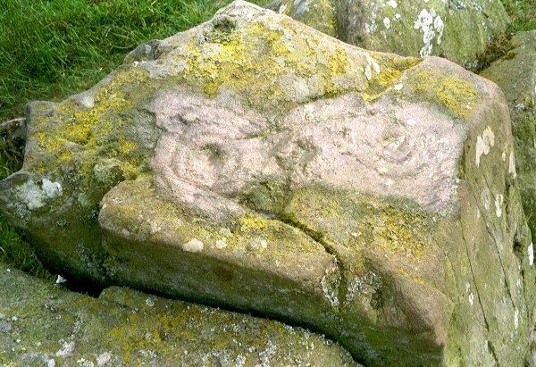 Image of Penkiln (Cup and Ring Marks / Rock Art) by rockartuk