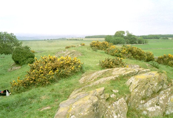 Image of Penkiln (Cup and Ring Marks / Rock Art) by rockartuk