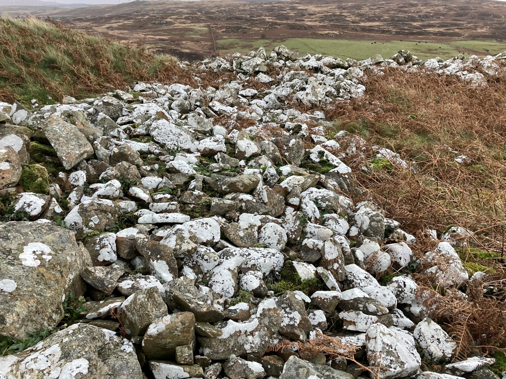 Image of Cruise Back Fell (Hillfort) by markj99