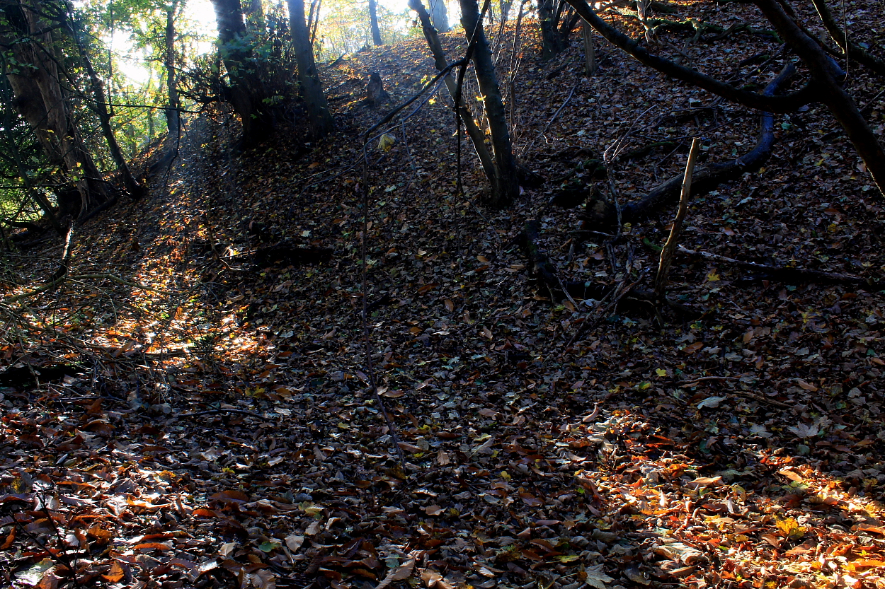 Image of Castlehill Wood, Godstone (Promontory Fort) by GLADMAN