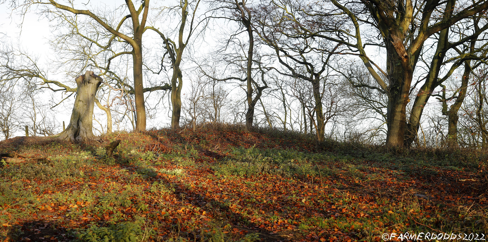 Image of Old Wingate (Long Cairn) by FARMERDODDS