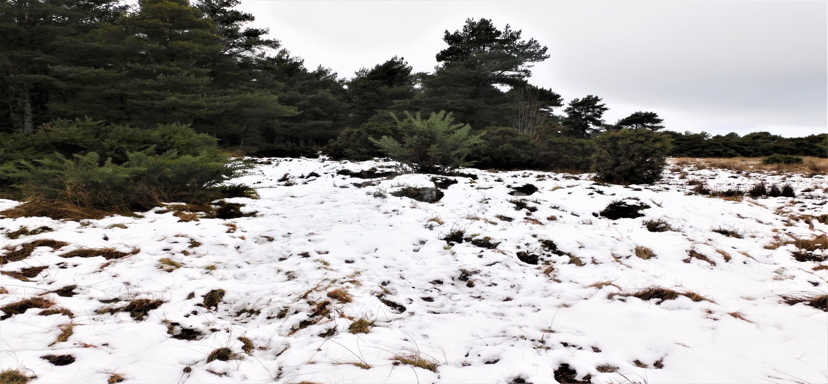 Image of Glenurquhart (Long Cairn) by drewbhoy