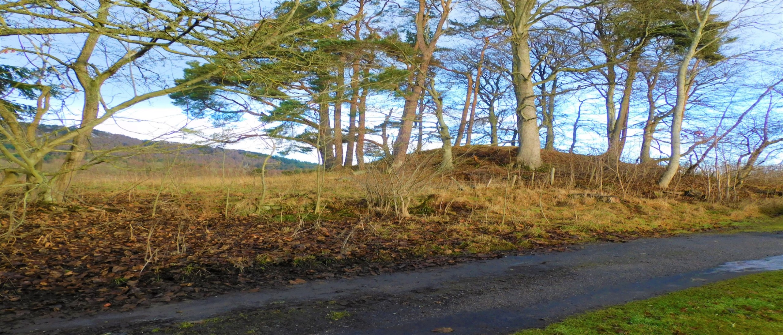Image of Novar House (Cairn(s)) by drewbhoy