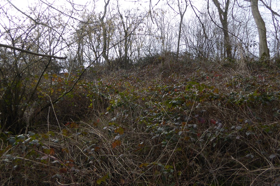 Image of Uphampton Camp (Hillfort) by thesweetcheat