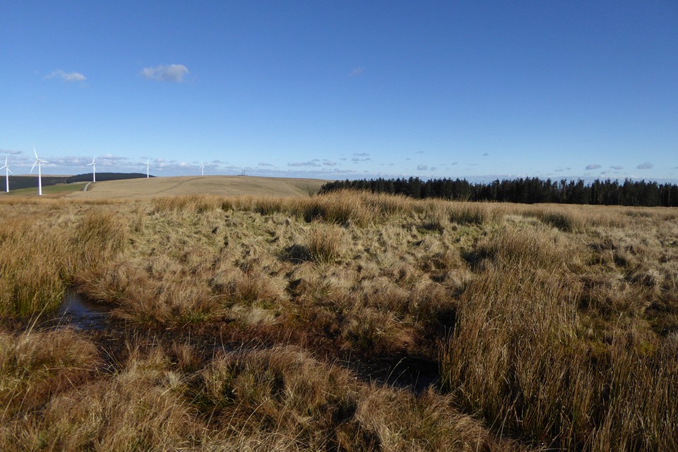 Image of Llyndwr Fawr (Cairn(s)) by thesweetcheat