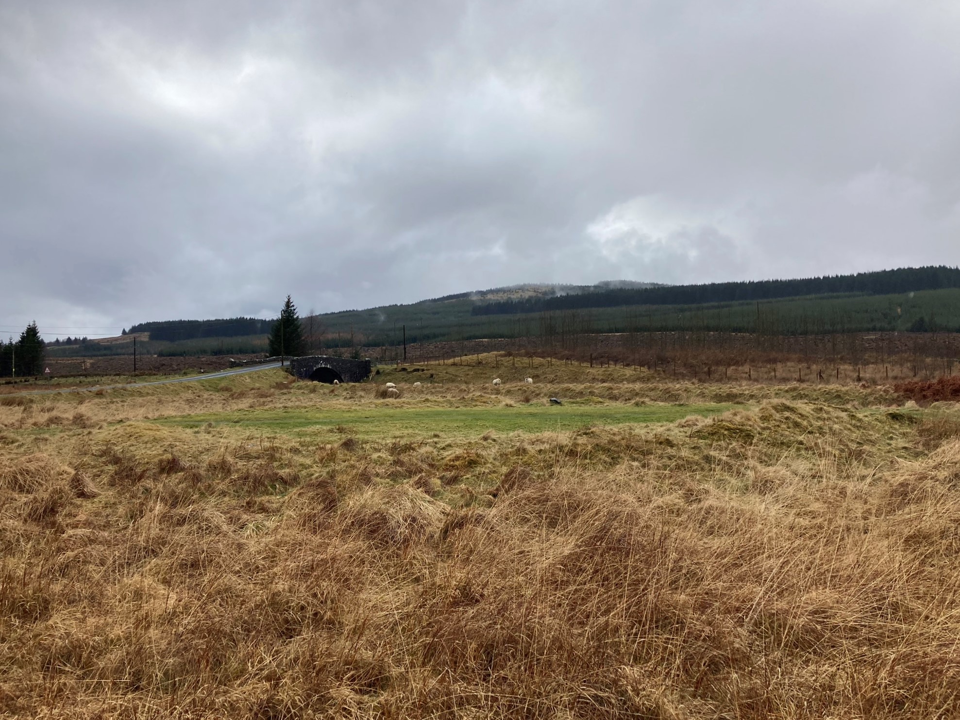 Image of Smittons Bridge (Kerbed Cairn) by markj99