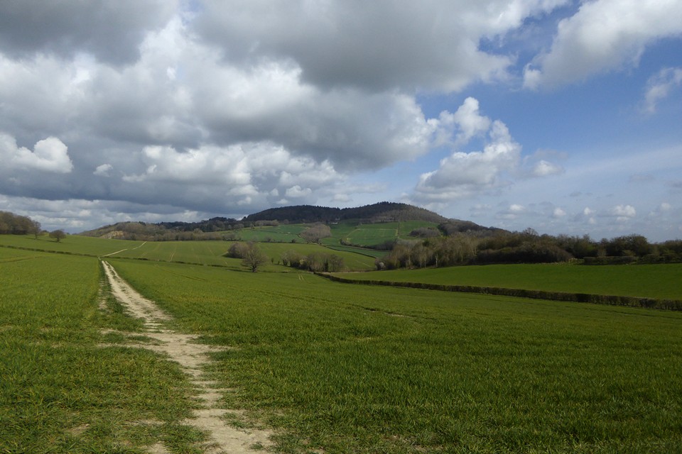 Image of Woodbury Hill (Great Witley) (Hillfort) by thesweetcheat