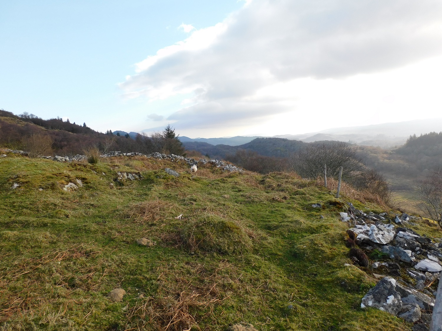 Image of Dun A’ Chogaidh (Hillfort) by drewbhoy