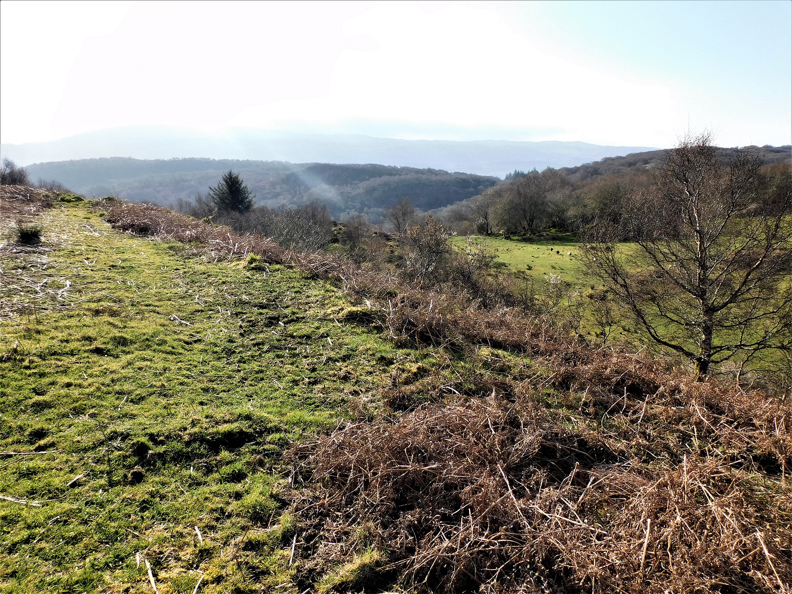 Image of Dun A’ Bhealaich (Hillfort) by drewbhoy