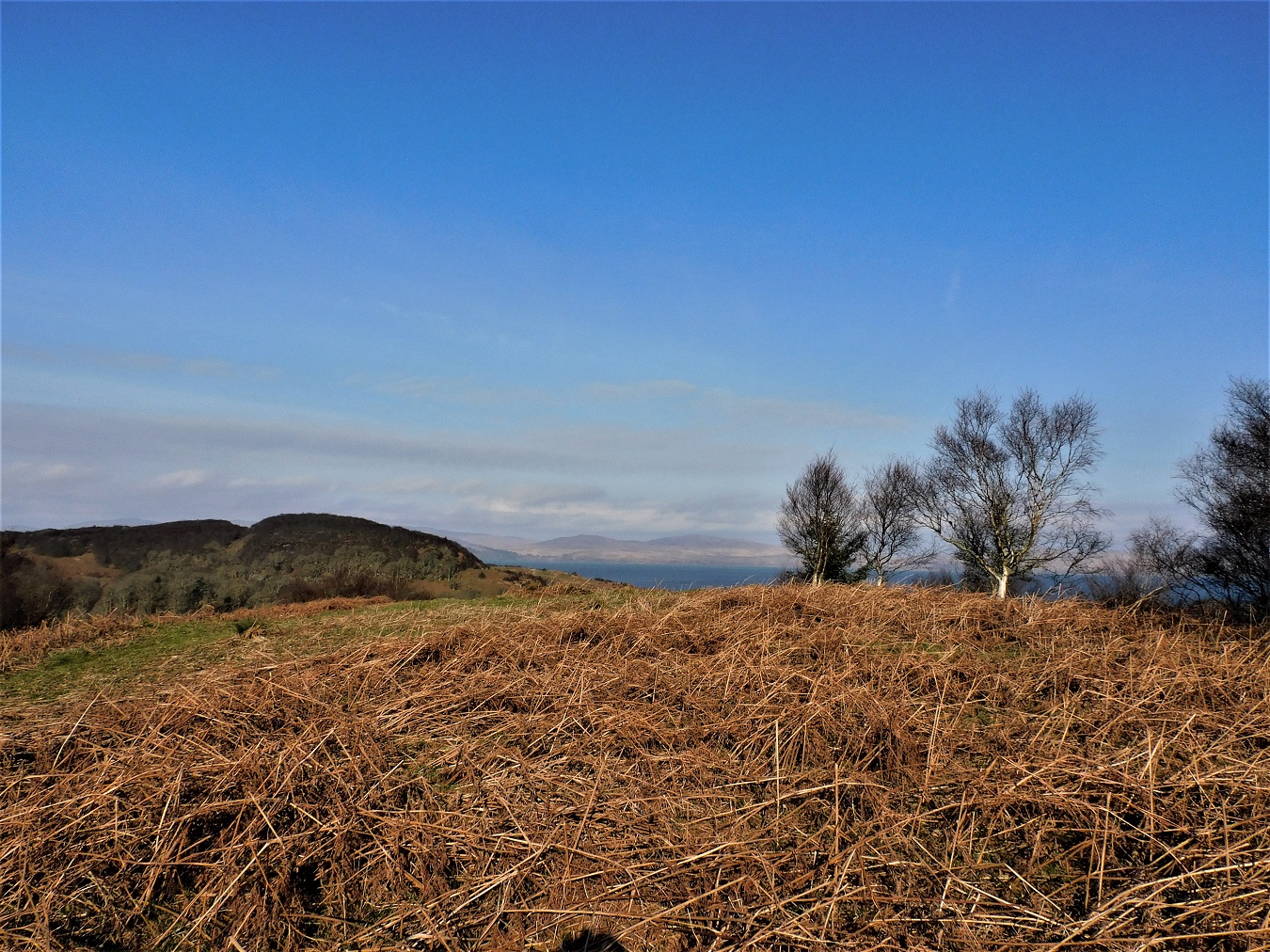 Image of Dun A’ Bhealaich (Hillfort) by drewbhoy
